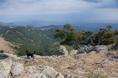 山狗来自法国西牙芘边界的景色背景
