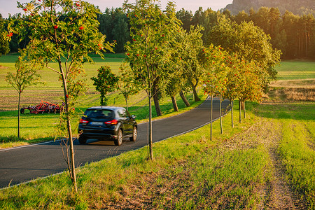 汽车欧洲的道路上行驶,温暖的日落光线下,田野树木图片