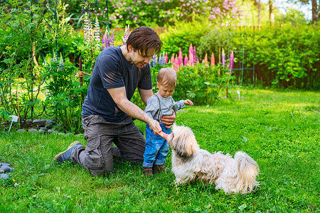 小孩狗父子带着施子狗夏天的绿色花园里背景