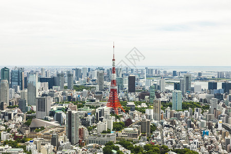 东京塔城市天际线的鸟瞰,日本东京Minato市石坝Koen区背景图片