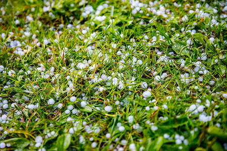 草地上冰雹冰雹和雨夹雪高清图片