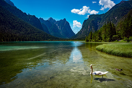 菲尔普斯游泳多比亚科湖白云岩,意大利多比亚科湖白云岩,美丽的自然意大利自然景观阿尔卑斯山背景