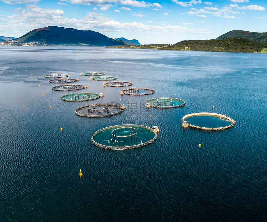 农场鲑鱼捕鱼挪威航空FPV无人机摄影图片