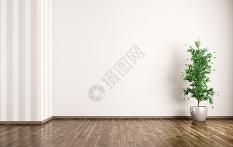 空房间内部背景与植物三维渲染图片