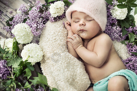 可爱的男孩睡芬芳的花丛中图片