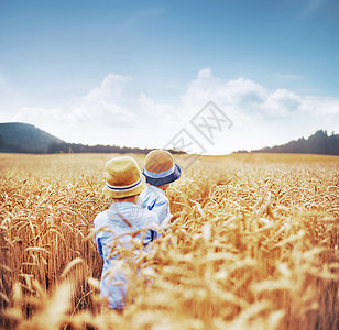 小麦胚芽粉谷物地里的两个兄弟背景