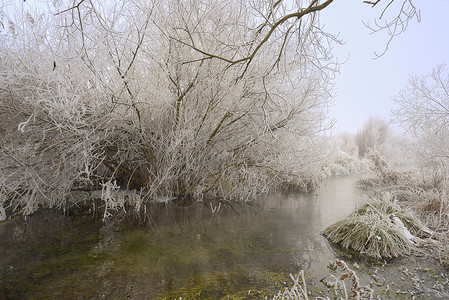 寒冷的12月冬天冻早晨的河上背景