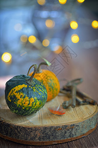 秋季装饰用小南瓜灯图片