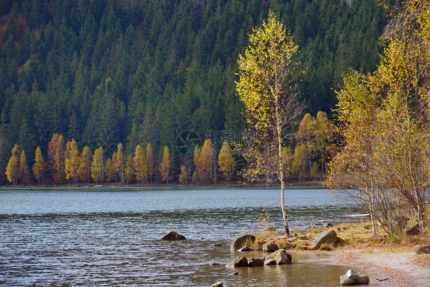 秋天与叶子安湖图片