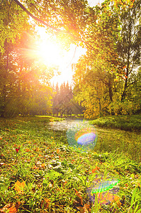 五颜六色的秋天公园日落时公园树上五颜六色的秋叶图片