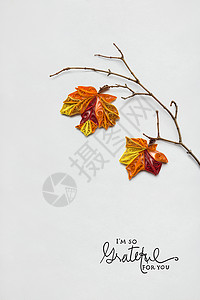 创意感恩节照片的树枝与树叶制成的纸张白色背景图片