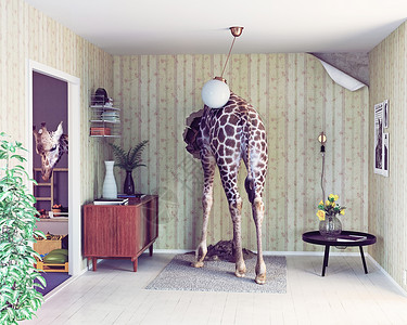 客厅里的长颈鹿创造的照片CG元素合图片