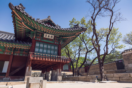 长德宫长德宫,韩国首尔延诺古的个大公园首尔图片