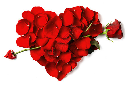 红色玫瑰花瓣的心玫瑰箭头刺穿白色背景上分离的花瓣心脏背景图片