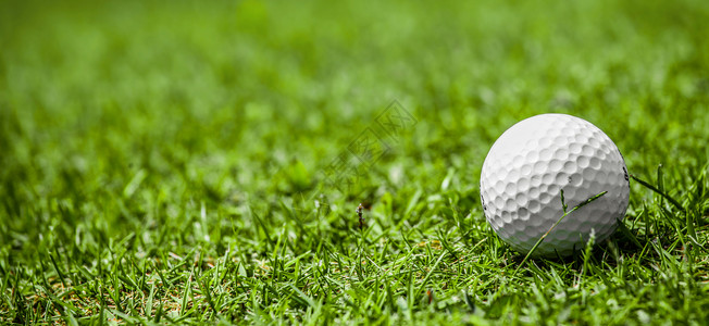 球场上的高尔夫球高尔夫球场绿草上的高尔夫球,图片