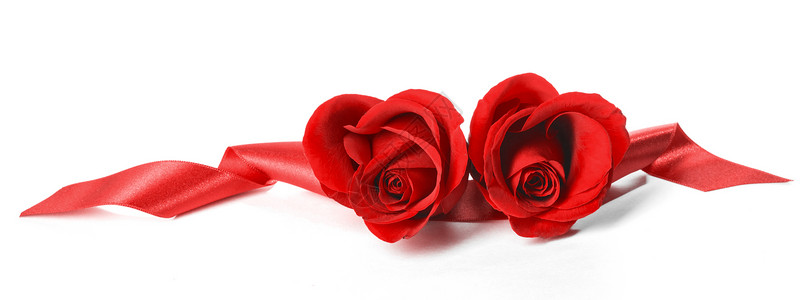 心形玫瑰两朵心形的红色玫瑰丝带白色背景上分离,情人节背景图片