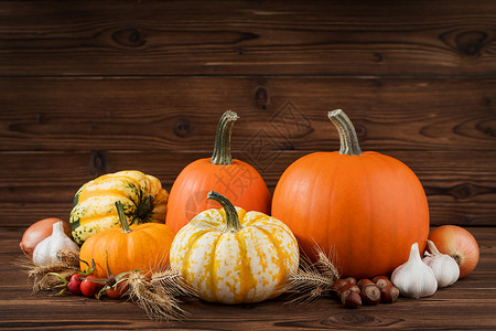 木桌上的秋收秋收生活与南瓜,小麦耳朵,榛子,大蒜,洋葱玫瑰浆果木制背景图片