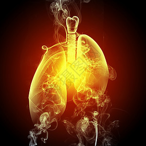 人类肺的示意图彩色背景上同元素的人类肺的示意图拼贴背景图片