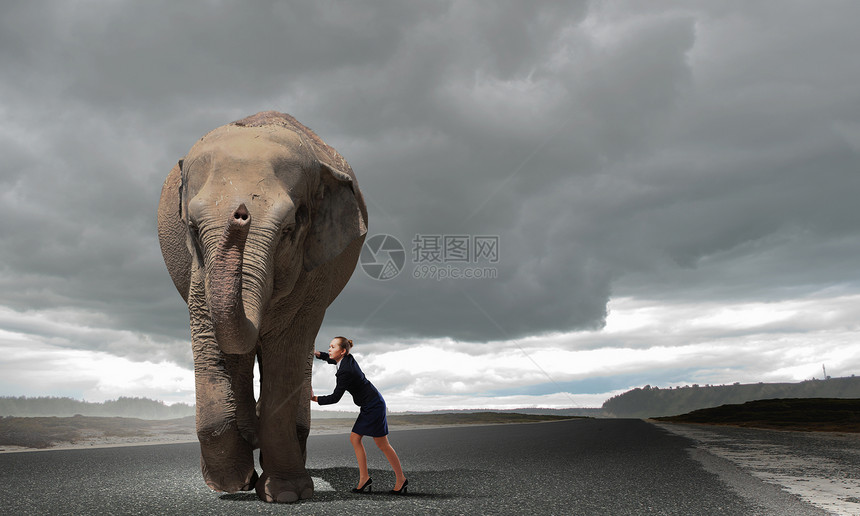 女商人努力移动巨大的大象图片