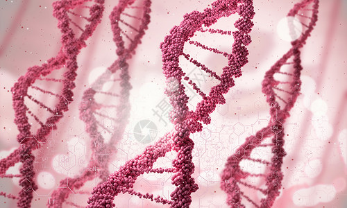 DNA分子数字红色DNA分子的生物化学图片