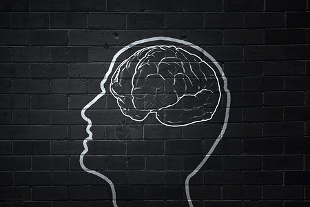 人类的大脑人的手黑板上画大脑图片
