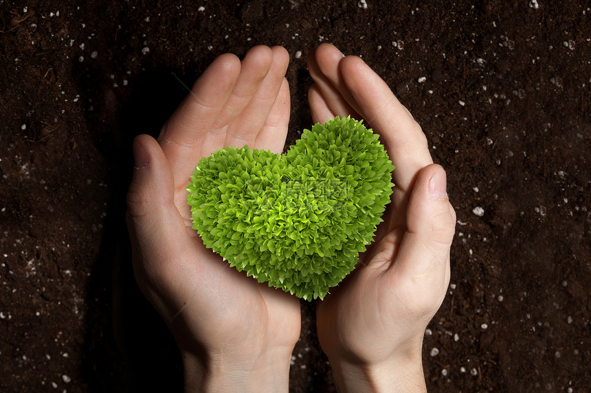 自然的爱绿色心脏植物人类手中的土壤背景图片
