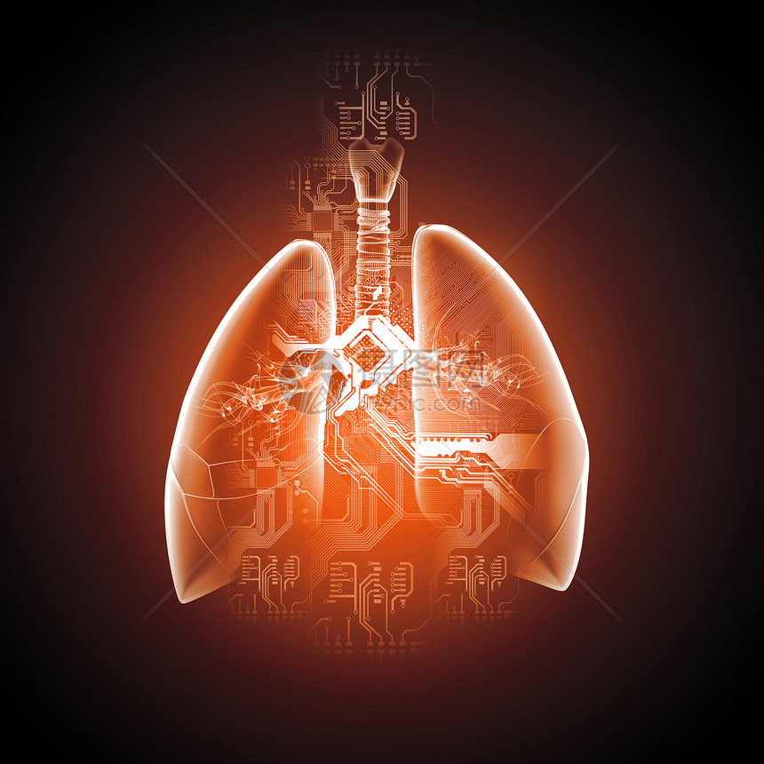 人类肺的示意图彩色背景上同元素的人类肺的示意图拼贴图片