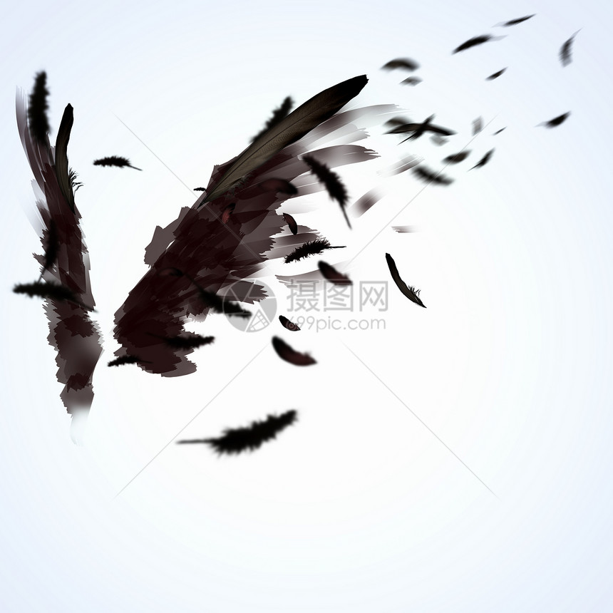 黑色的翅膀黑色翅膀光背景下的抽象图像图片