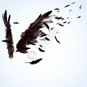 黑色抽象翅膀黑色的翅膀黑色翅膀光背景下的抽象图像背景