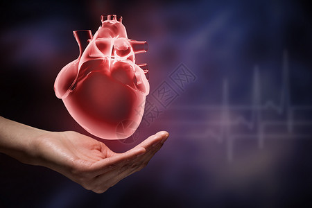 心脏护理紧紧握住人类的手,握住人类的心图片