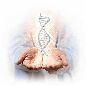 DNA链的图像用人手背景下DNA链的图像图片