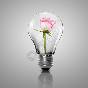 电灯泡的花绿色能量的象征图片