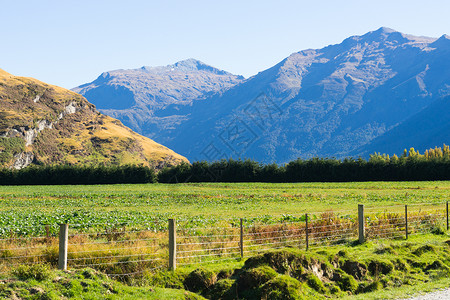 遥远乡村道路风景如画新西兰阿尔卑斯山道路的自然景观背景