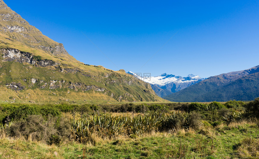 风景如画新西兰阿尔卑斯山草地的自然景观图片