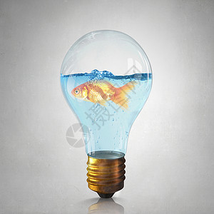 鱼灯泡灯泡里的金鱼金鱼清澈的蓝色水中游泳背景