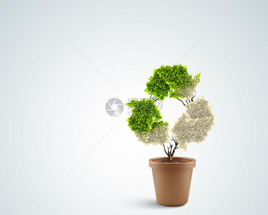 生态盆栽植物的图像,形状像回收符号图片