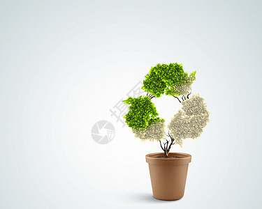 绿色箭头盆栽生态盆栽植物的图像,形状像回收符号背景