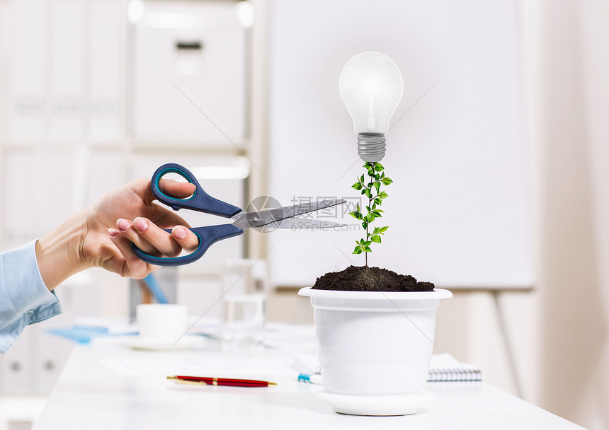 越来越成功人的手植物锅里图片