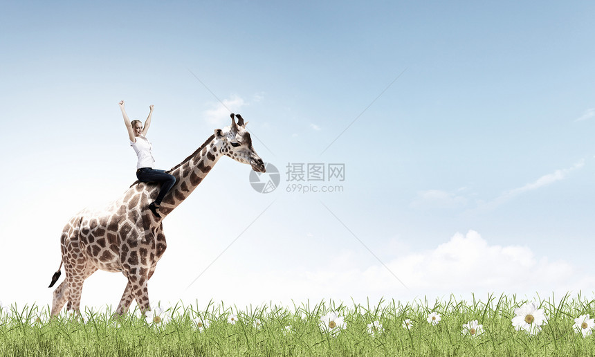 轻漂亮无畏的女人骑长颈鹿动物女人骑长颈鹿图片