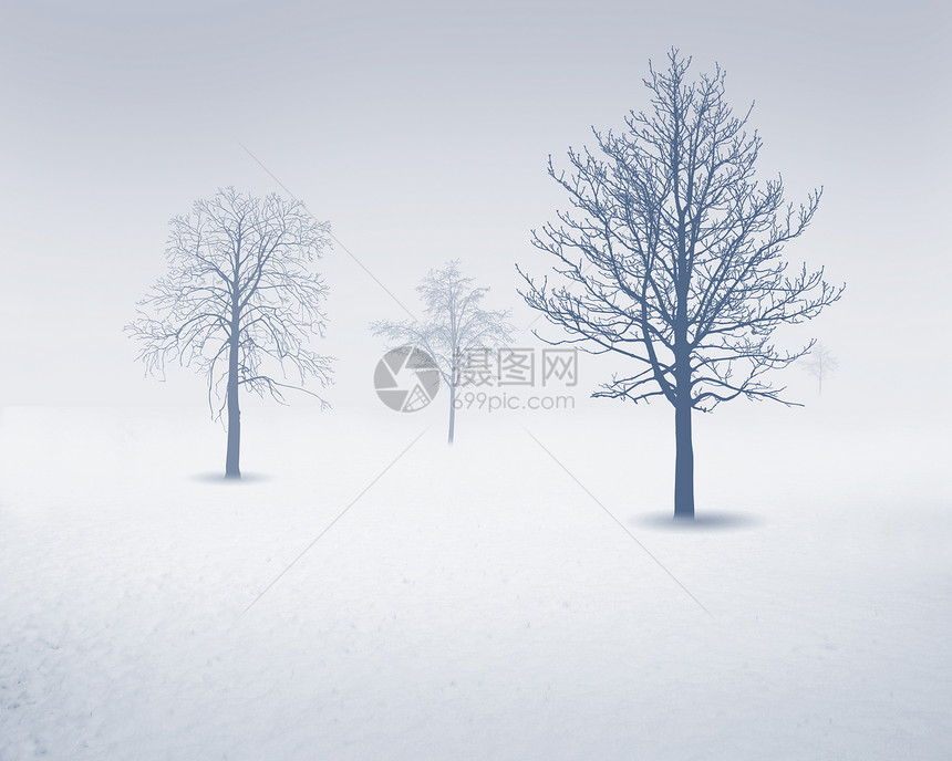 白色背景上白色雪树的图像图片