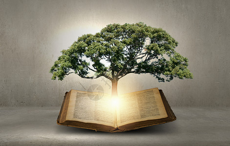 形象与绿树生长书阅读自教育背景图片