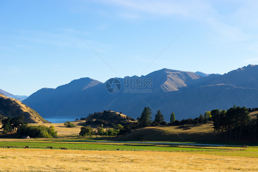 风景如画新西兰阿尔卑斯山田野的自然景观图片