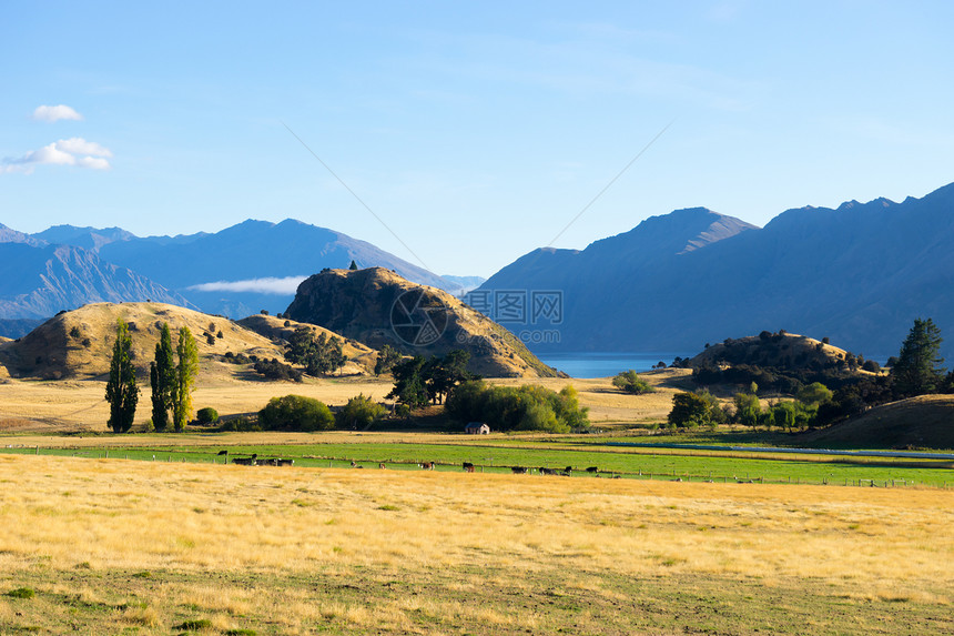 风景如画新西兰阿尔卑斯山田野的自然景观图片