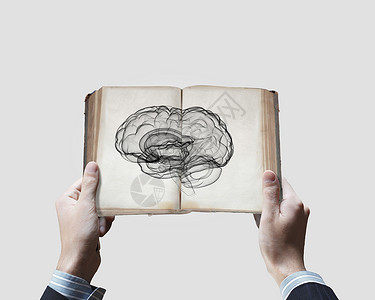 大脑机能图片精神能力特写男的手,着打开的书大脑图片背景