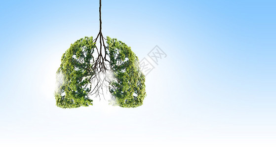 肺森林空气污染绿色树的图像,形状像人类的肺背景
