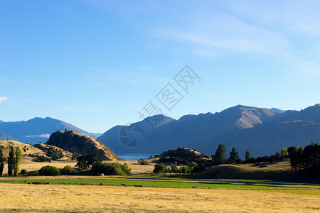 风景如画新西兰阿尔卑斯山田野的自然景观背景图片