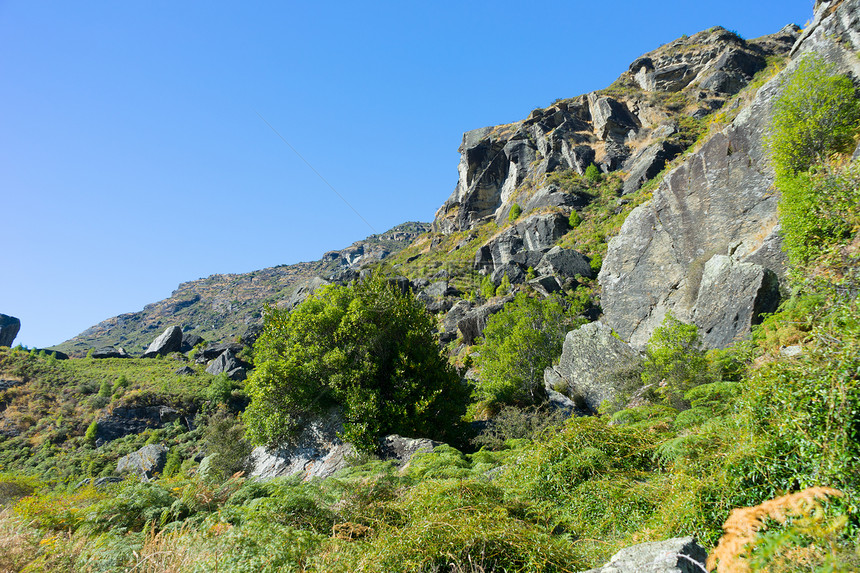 风景如画新西兰阿尔卑斯山草地的自然景观图片