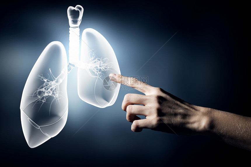 肺健康近距离接触肺征图片