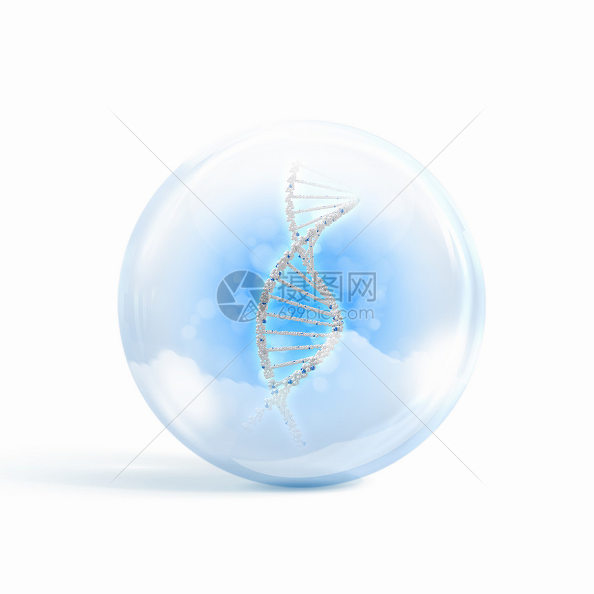 DNA链璃球体内DNA链的图像图片
