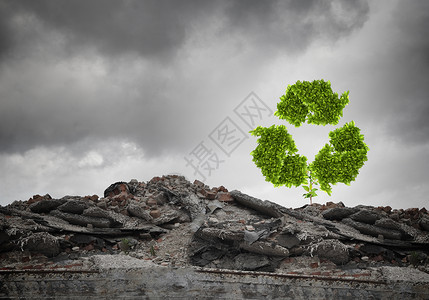 回收图像与回收绿色标志生长废墟上图片